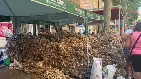 feria del ajo de Zamora 2026_10