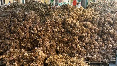 feria del ajo de Zamora 2026_12