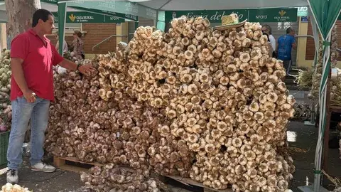 feria del ajo de Zamora 2026_26