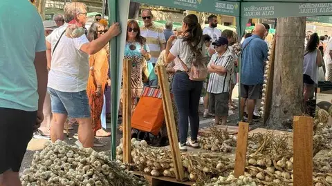 feria del ajo de Zamora 2026_29