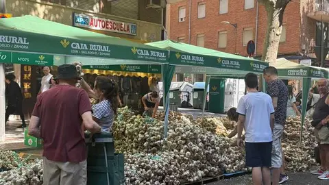 feria del ajo de Zamora 2026_30