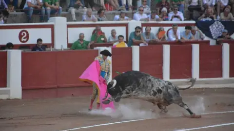 toros san pedro 2026 _16