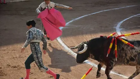 toros san pedro 2026 _26