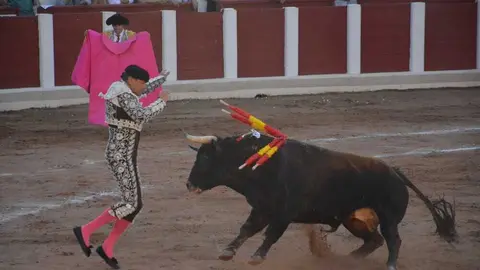 toros san pedro 2026 _55