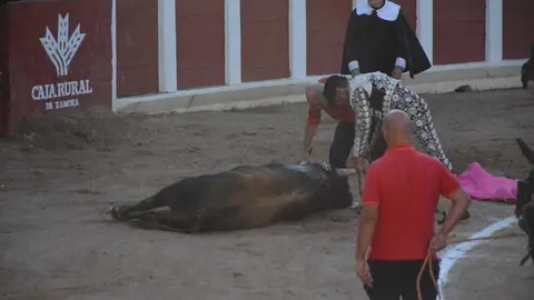 toros san pedro 2026 _75