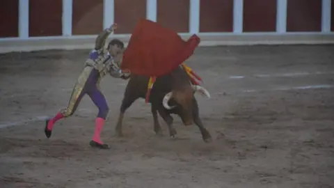 toros san pedro 2026 _95