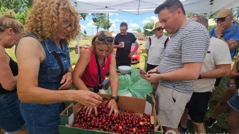Mercado de Cerezas en Pueblica de Valverde. Foto Interbenavente