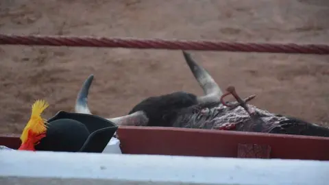 segunda de abono toros 2026 san pedro_90