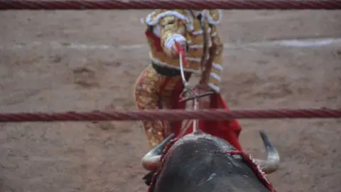 segunda de abono toros 2026 san pedro_95