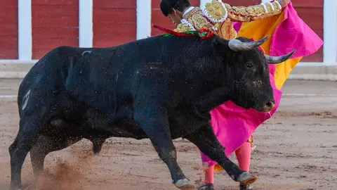 segunda san pedro joaqu&iacute;n _10