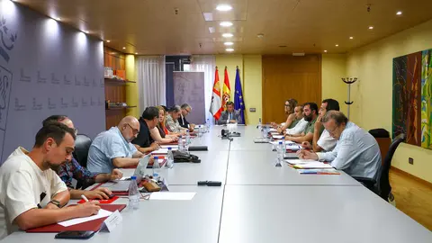 Mesa General de Negociaci&oacute;n de los Empleados P&uacute;blicos de CyL