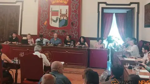 Pleno correspondiente al mes de junio