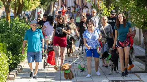 Marcha contra el abandono animal Benavente - Imagen Interbenavente