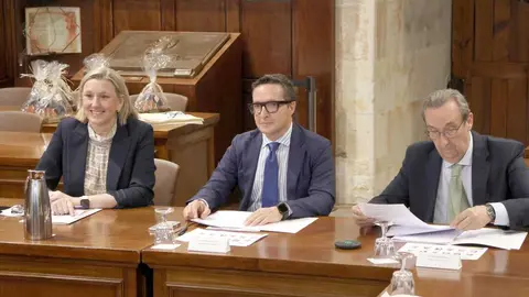 C&aacute;tedra Fundaci&oacute;n Personas, discapacidad y futuro
