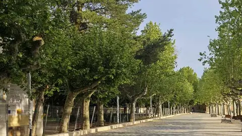 Paseo de la Mota. IMAGEN INTERBENAVENTE