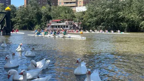   Gran Premio Internacional K4 Valladolid 