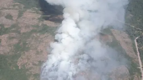 Incendio P&iacute;as