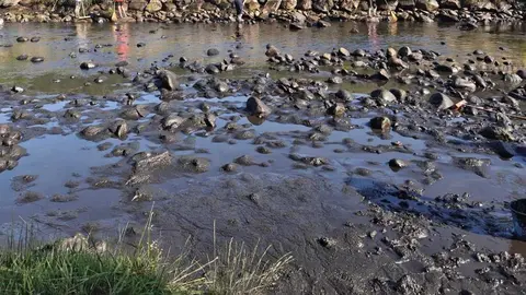 toneladas de ceniza acumuladas en la piscina fluvial de Porto de Sanabria  (3)