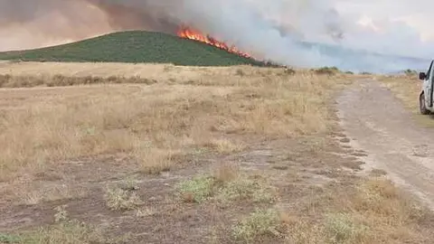 incendio Carrascal  (5)