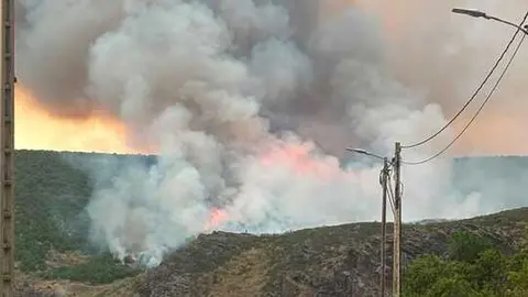 incendio Carrascal  (6)