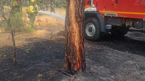 Incendio forestal Villalpando 