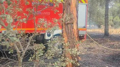 Incendio forestal Villalpando _2