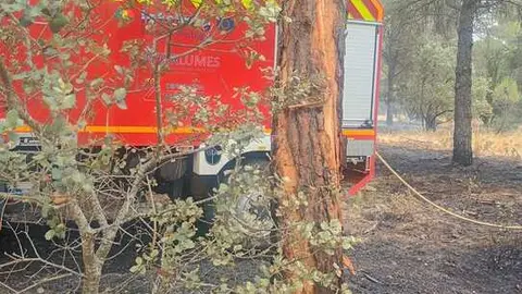 Incendio forestal Villalpando _3