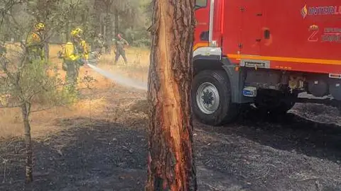 Incendio forestal Villalpando _4