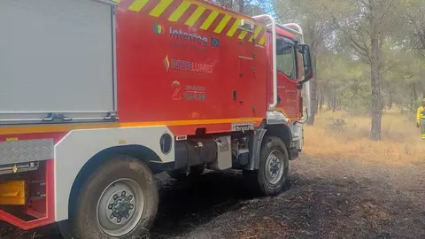 Incendio forestal Villalpando _6