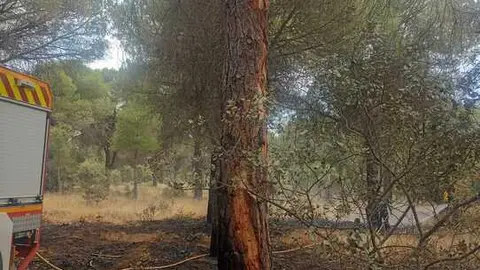 Incendio forestal Villalpando _7