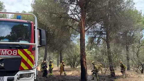 Incendio forestal Villalpando _9