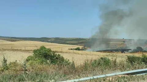 Incendio en El Perdig&oacute;n _6