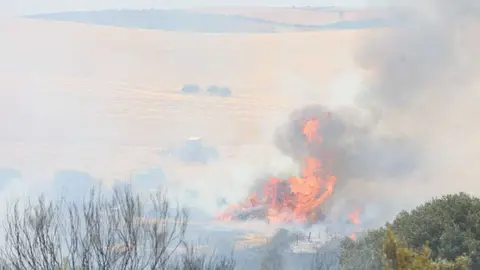 Incendio en El Perdig&oacute;n _8