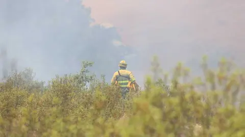 Incendio en El Perdig&oacute;n _13