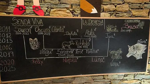 centro del lobo Motos Sanabria  (6)