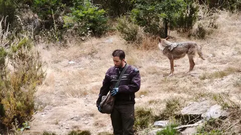 centro del lobo Motos Sanabria  (9)