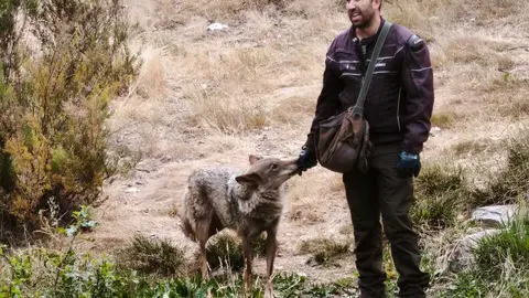 centro del lobo Motos Sanabria  (11)