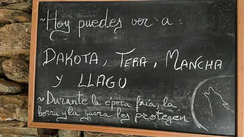 centro del lobo Motos Sanabria  (13)