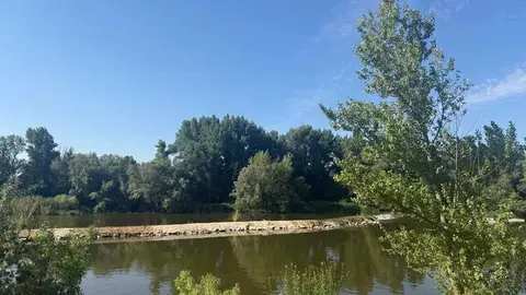 d&iacute;a soleado en Zamora _5