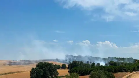 Incendio Gallegos _4