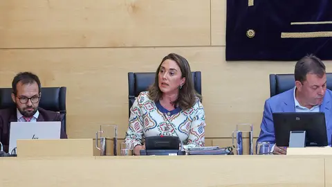 Comparecencia inicio de legislatura