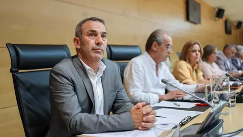 El portavoz del PSOE Miguel &Aacute;ngel Luengo