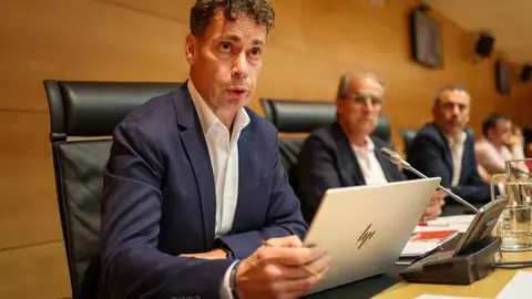 El portavoz socialista de Agricultura, Ganader&iacute;a, Medio Rural y Pol&iacute;tica Ambiental, Mario Rivas