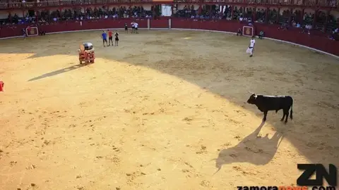 Plaza de toros de Toro