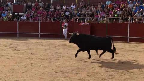 Cortes moraleja Zamora 2026_20