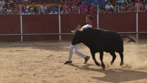 Cortes moraleja Zamora 2026_23