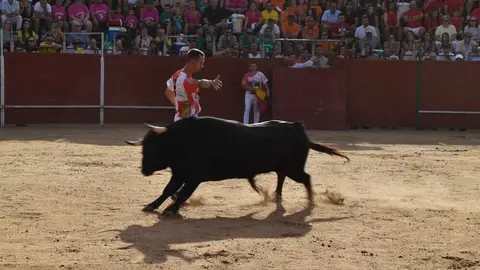 Cortes moraleja Zamora 2026_25