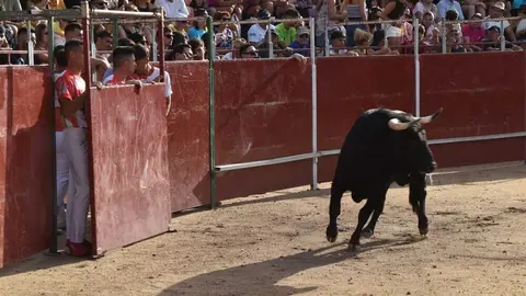 Cortes moraleja Zamora 2026_26