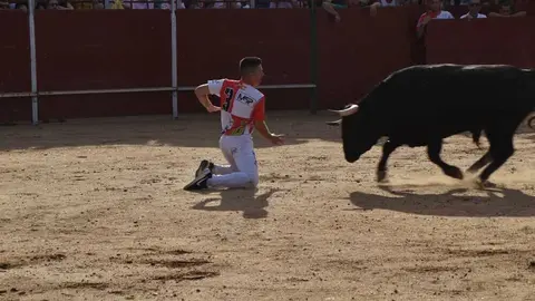 Cortes moraleja Zamora 2026_27