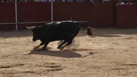 Cortes moraleja Zamora 2026_28